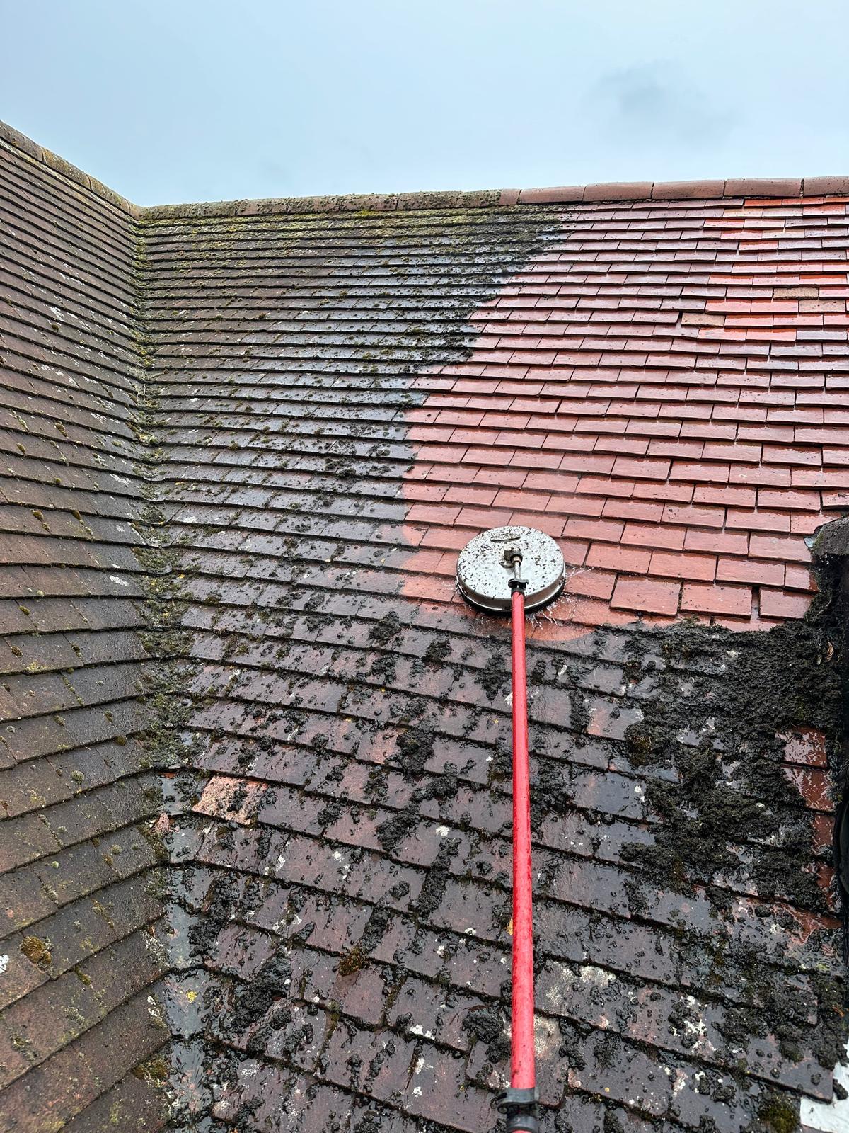 Roof Moss Removal Nanaimo